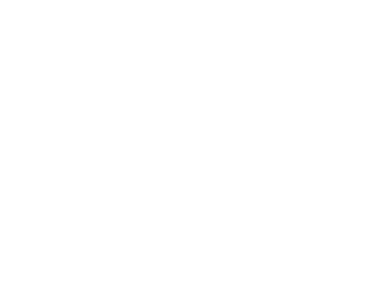 Luxury Executive Travels