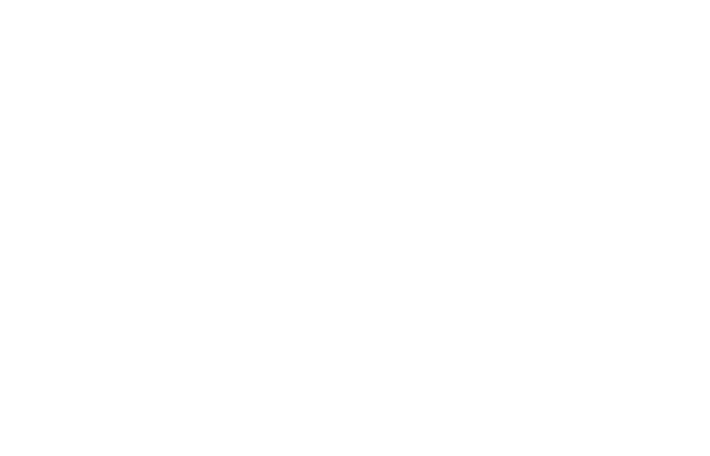 Luxury Executive Travels